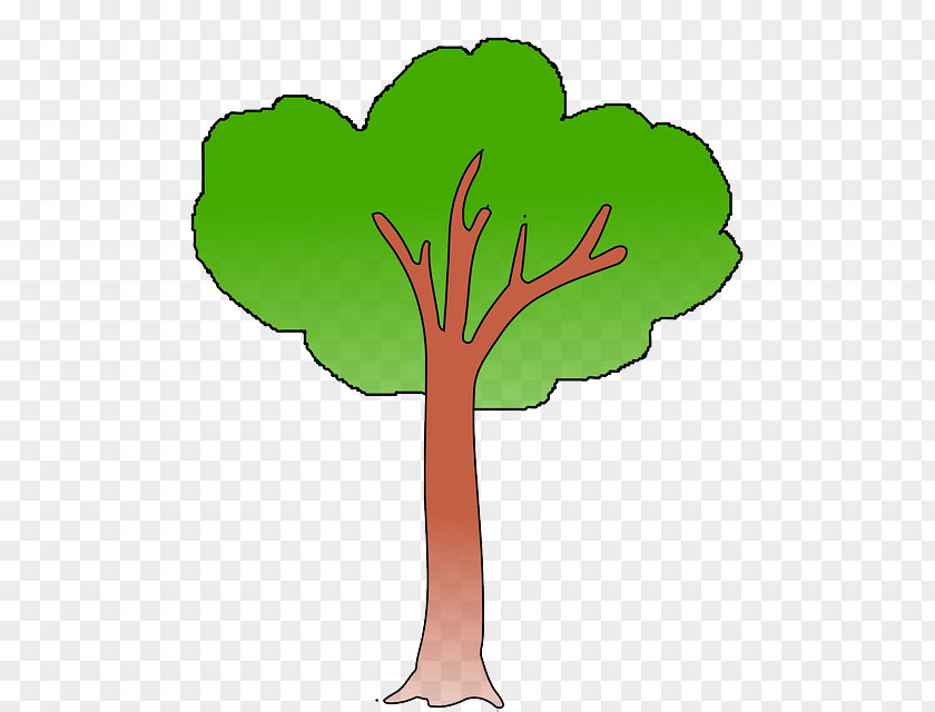 Trunk Clipart Branch Tree Clip Art PNG