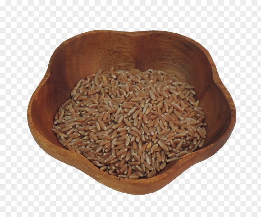 Whole Wheat Emmer Grain Einkorn Farro Berry PNG