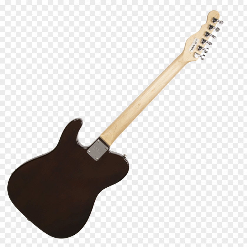 Bass Guitar Acoustic-electric Acoustic PNG