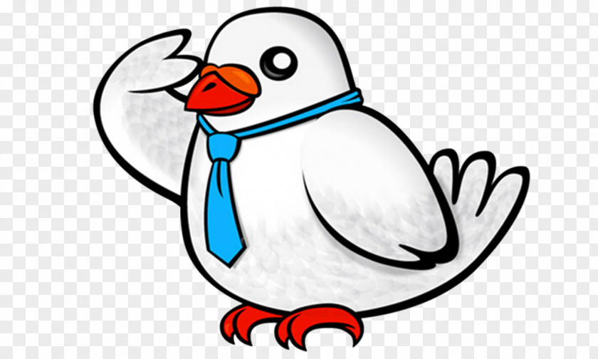 Cartoon Pigeon Rock Dove Animation PNG
