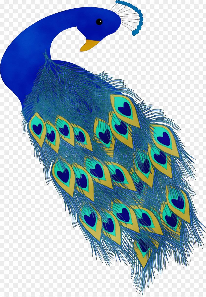 Feather PNG