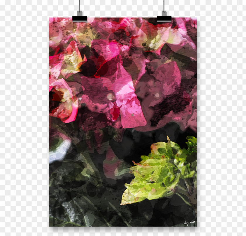 Hortensie Coated Paper Bynina Poster PNG