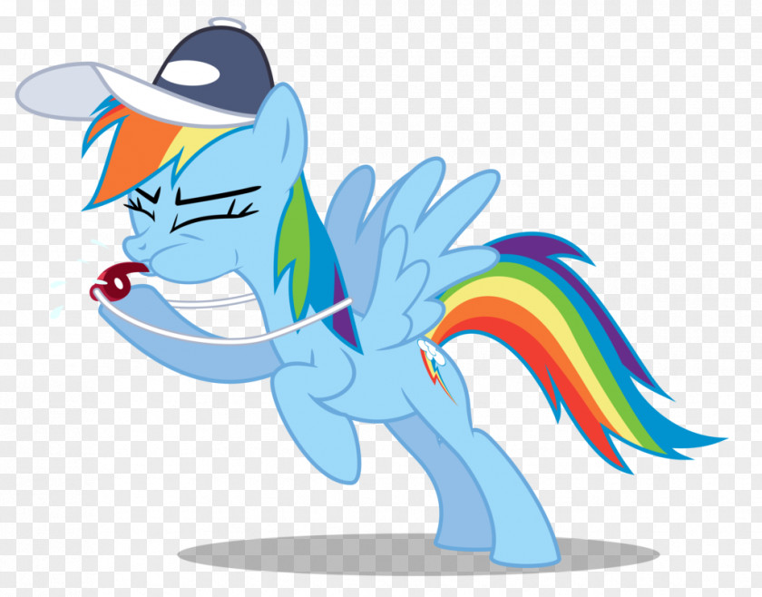 Pegasus Rainbow Dash Fluttershy Pinkie Pie Rarity Applejack PNG