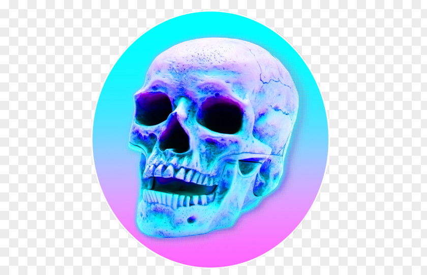 холод Skull Human Skeleton PNG