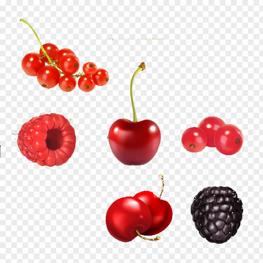 Blueberry Cherry Currants Cherries Juice Fruit Berry Illustration PNG