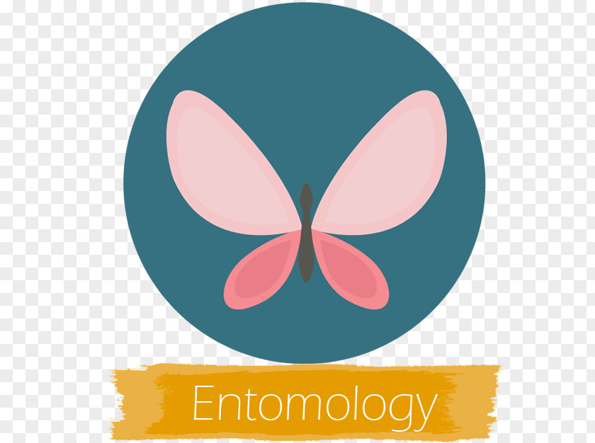 Butterfly Festival Icon Design PNG