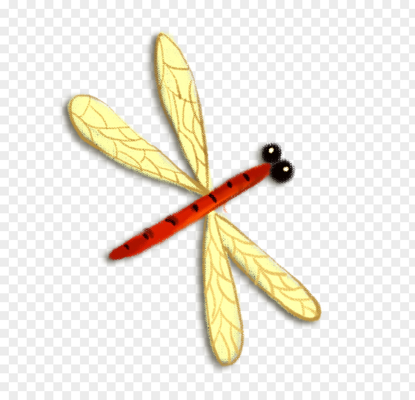 Dragonfly Insect PNG