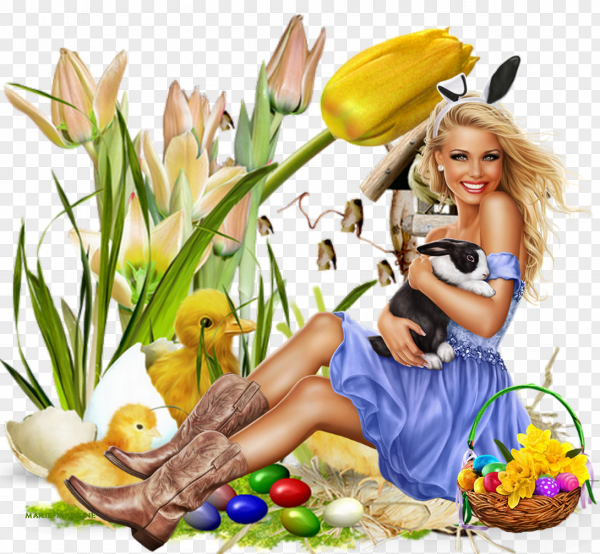 Easter Illustration Image Clip Art Chicken PNG