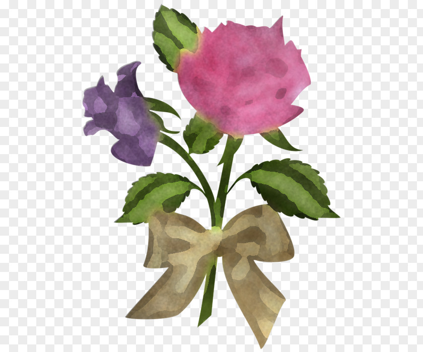 Flower Pink Petal Plant Violet PNG