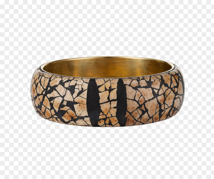 Hand-painted Ostrich Bangle PNG