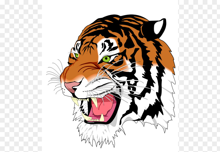 Inkscape Images Tiger Rendering Clip Art PNG