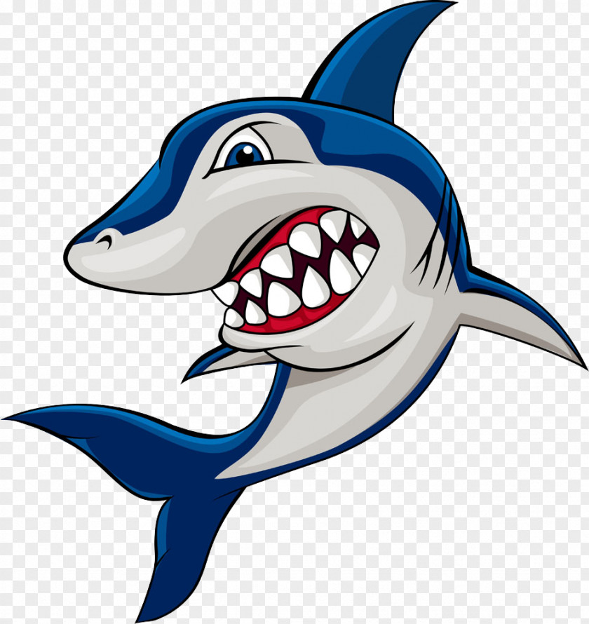 Shark Drawing Illustration PNG