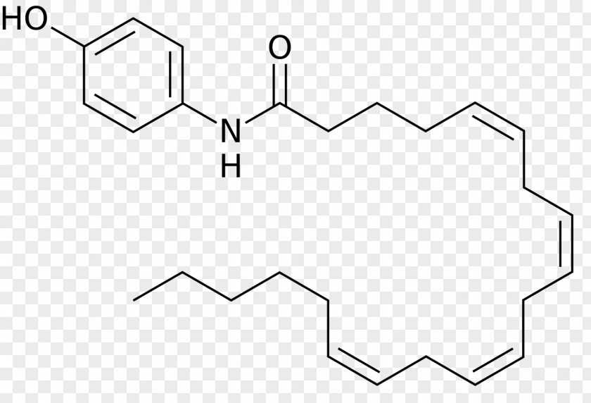 404 Acetaminophen Antipyretic Analgesic Pharmaceutical Drug Tylenol PNG