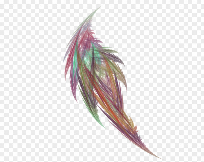 Feather Fractal DeviantArt Clip Art PNG