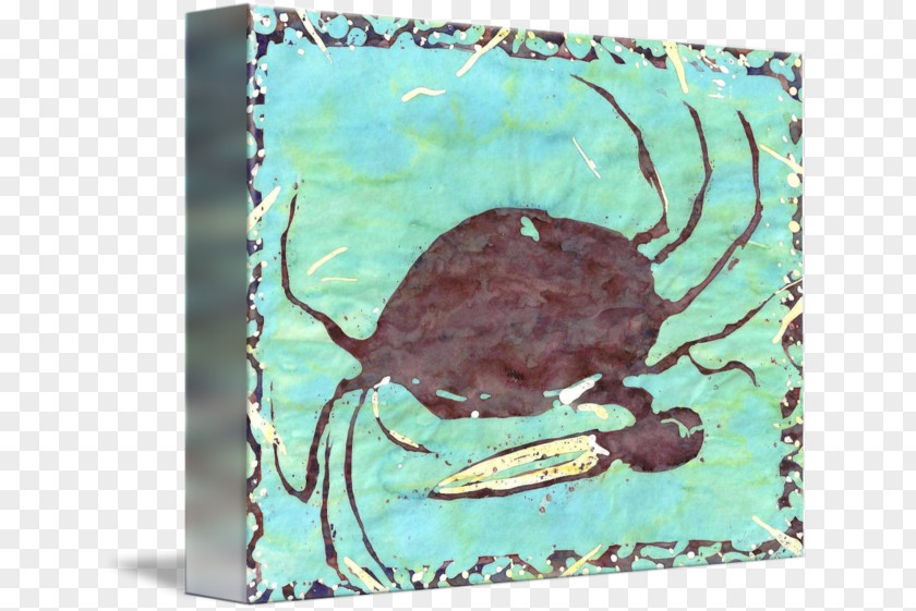 Fiddler Crab Sea Turtle Turquoise PNG