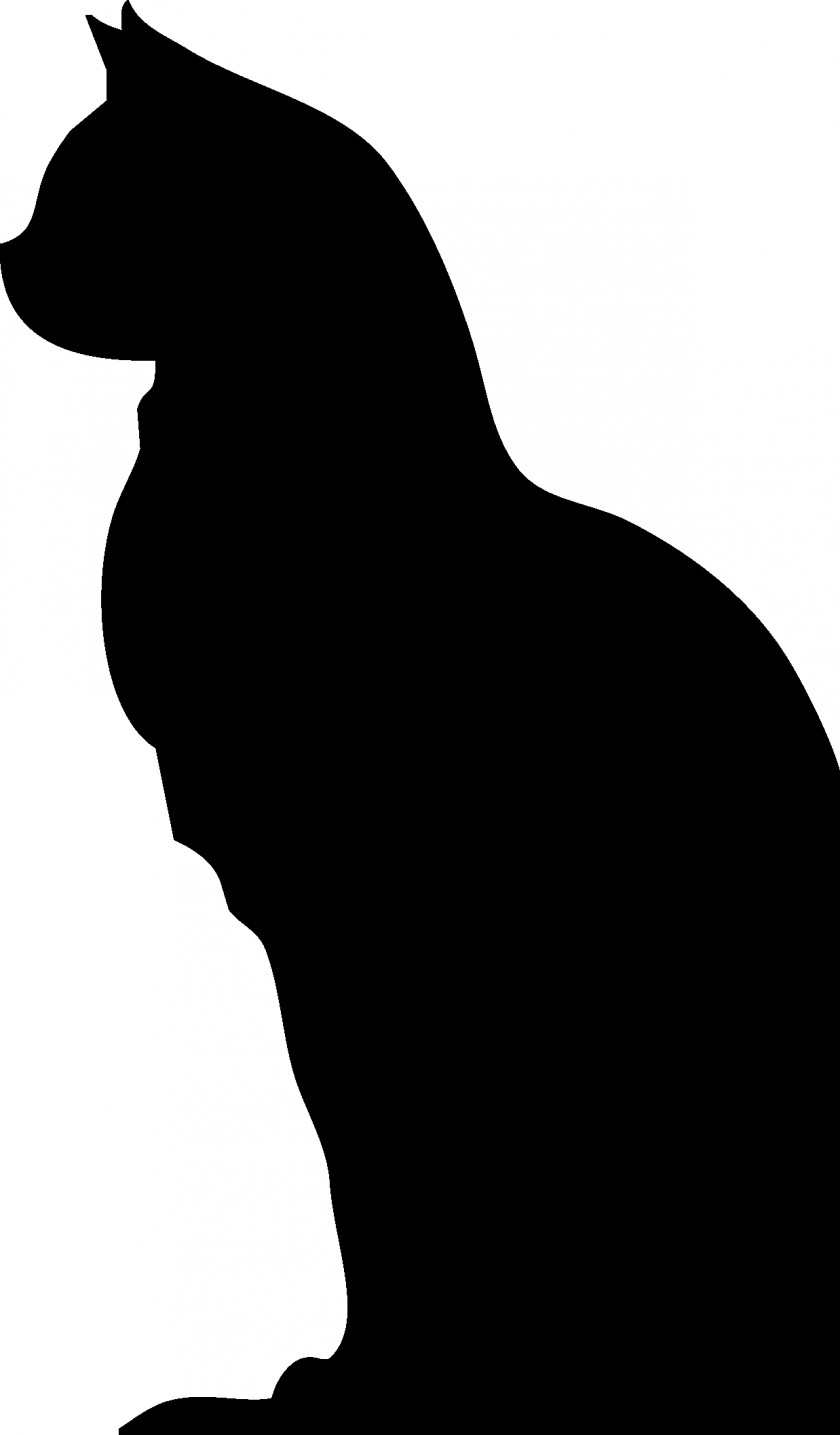High Quality Black Cat Cliparts For Free! Whiskers Clip Art PNG