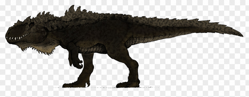 Skin Tyrannosaurus Giganotosaurus Velociraptor Utahraptor Dinosaur PNG
