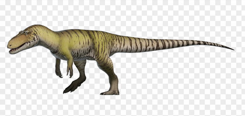 Dinosaur Torvosaurus Megalosaurus Eustreptospondylus Afrovenator PNG