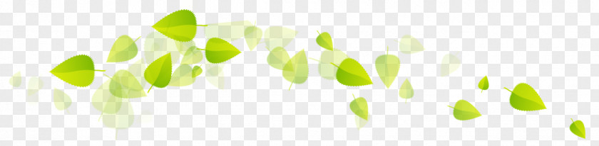 Green Tea Leaf Logo PNG