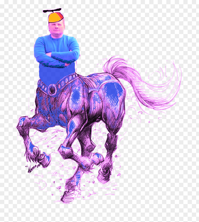 Mustang Stallion Unicorn Halter Illustration PNG