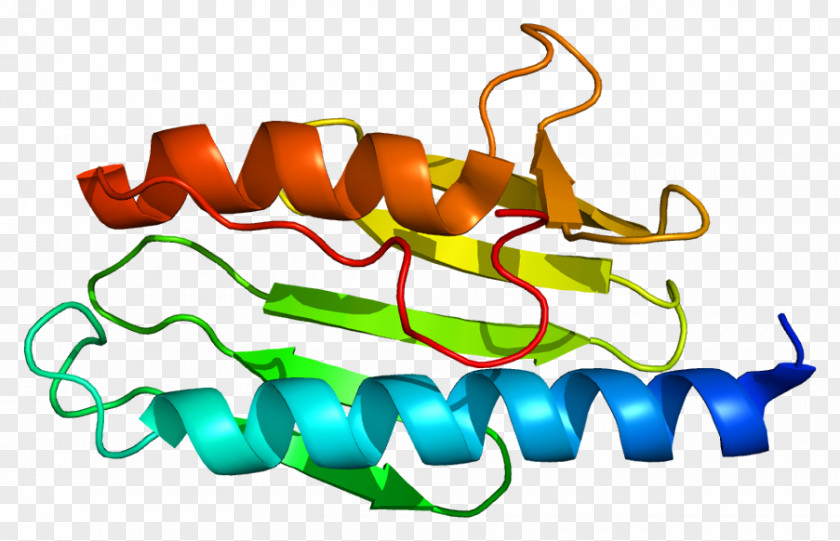 National Institute Of Neurological Disorders And S Friedreich's Ataxia Frataxin Genetic Disorder PNG