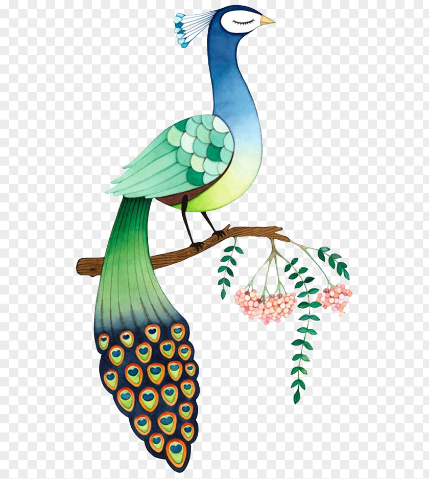 Peacock Watercolor Painting Illustration PNG
