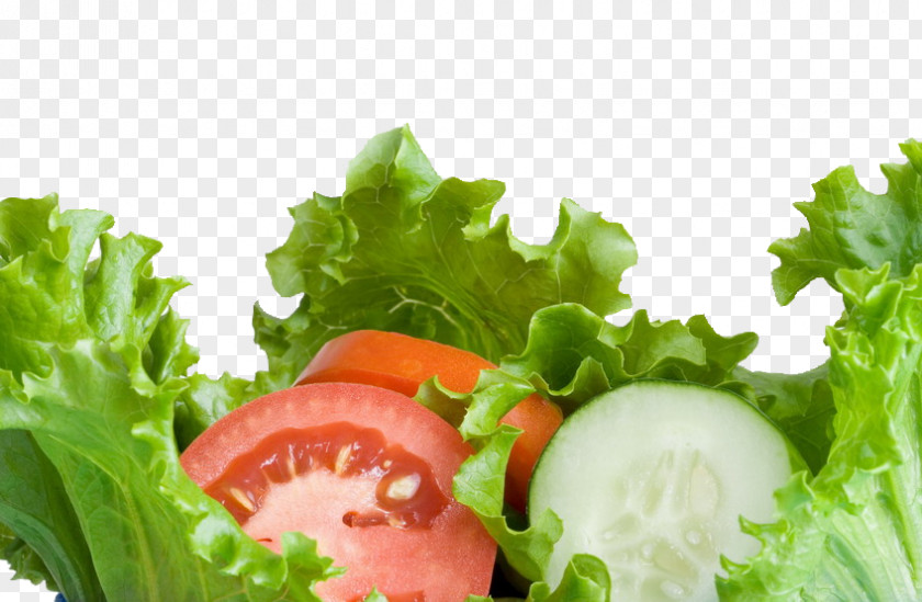 Salad File Greek Potato Vegetable PNG