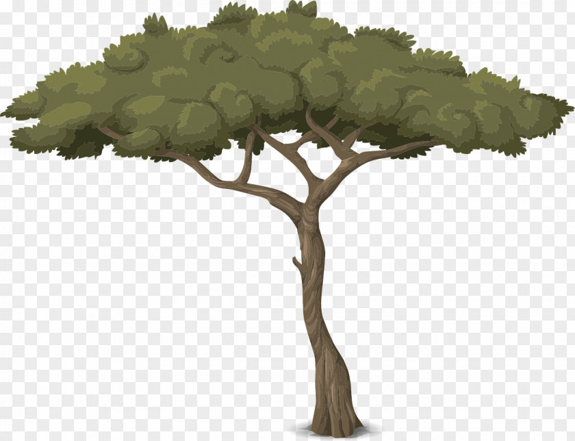 Tree Branch Trunk PNG