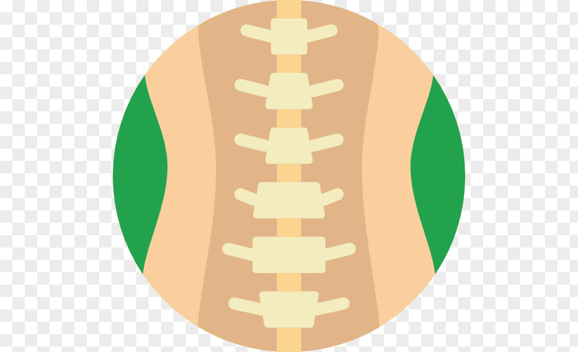 Vertebral Column Lumbar Vertebrae Spinal Cord Bone PNG