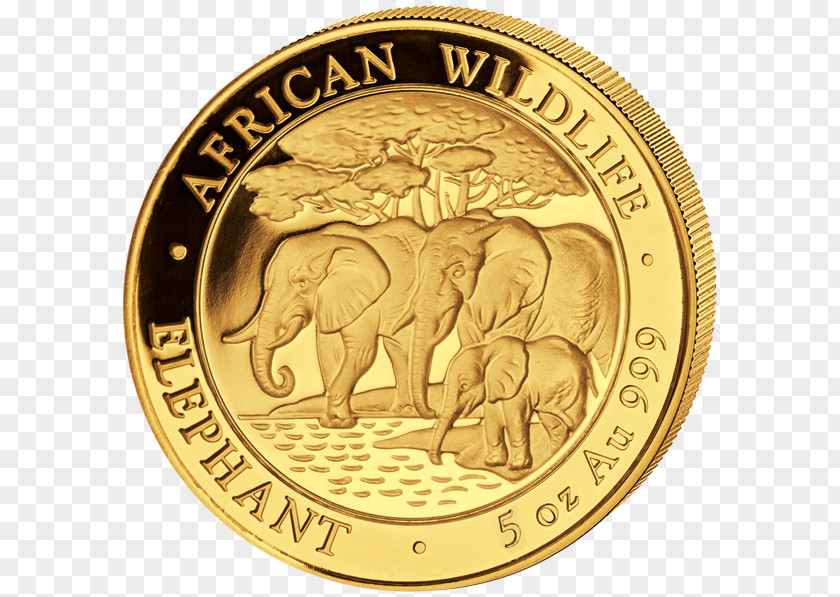 Coin Gold African Elephant Elephantidae PNG
