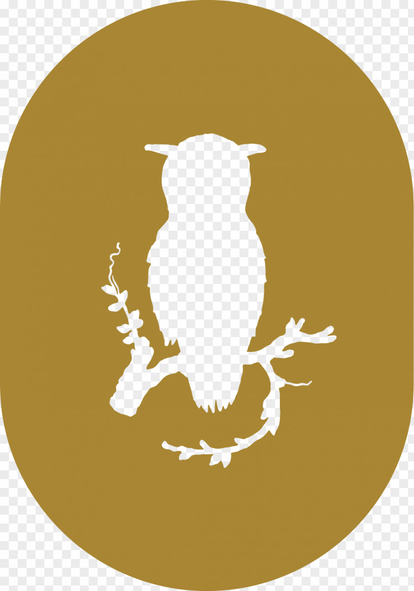 Owl Beak Bird Of Prey PNG