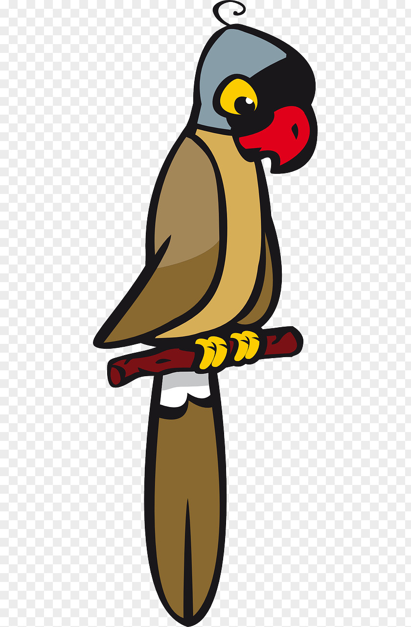 Parrot Bird Cartoon Clip Art PNG