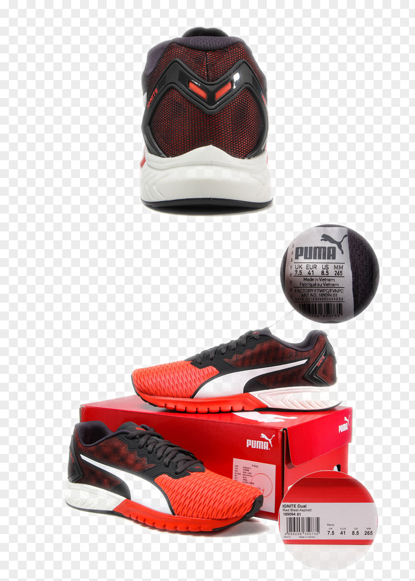 Puma PUMA Running Shoes Sneakers Shoe Sportswear PNG