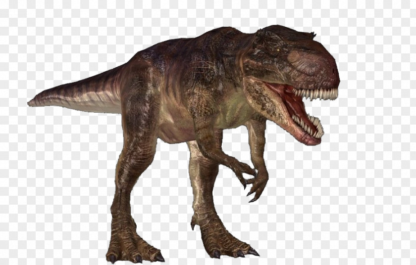 Tyrannosaurus Carnivores: Dinosaur Hunter Carcharodontosaurus Giganotosaurus Spinosaurus PNG