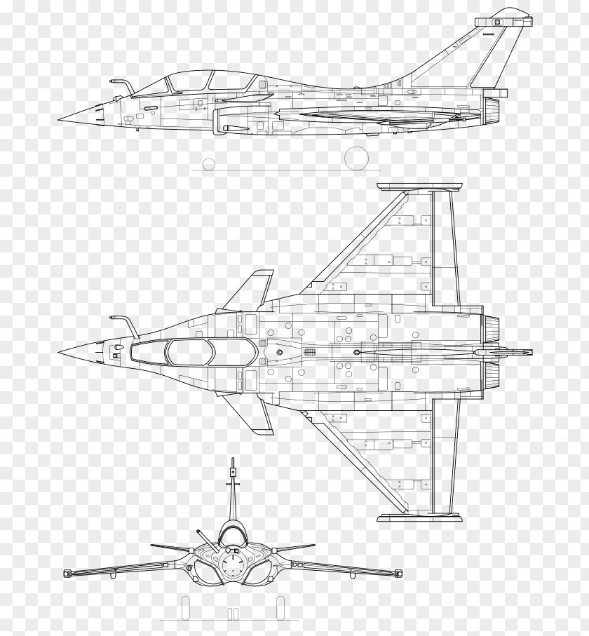 Airplane Dassault Rafale Saab JAS 39 Gripen Eurofighter Typhoon Grumman F-14 Tomcat PNG