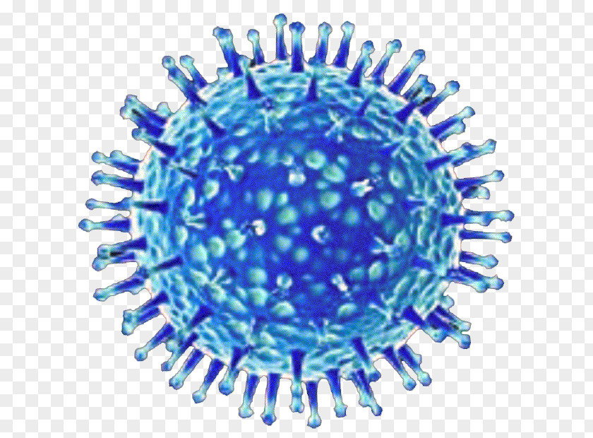 Dentate Bacterial Virus Avian Influenza Common Cold Infection PNG
