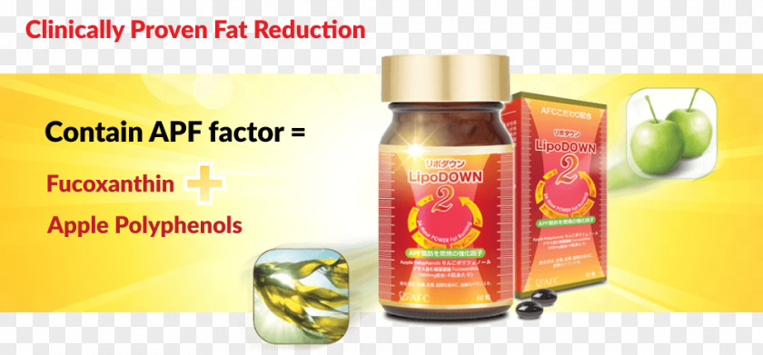 Fast Food Diet B Vitamins Health Anti-obesity Medication Cordyceps PNG