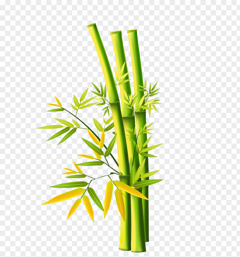 Green Simple Bamboo Decoration Pattern Painting Chinese PNG