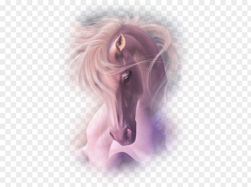 Horse Pony Animation PNG