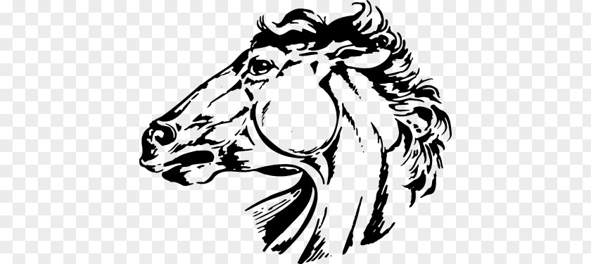 Lion Horse Ayden Clip Art PNG