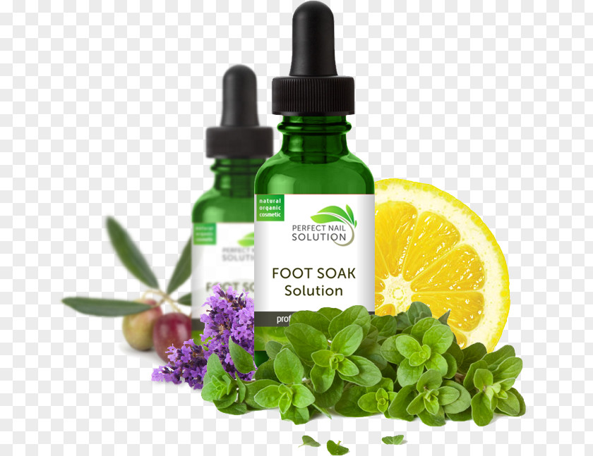 Nail Growth Products That Work Thyme Herb Onychomycosis Organic Food PNG