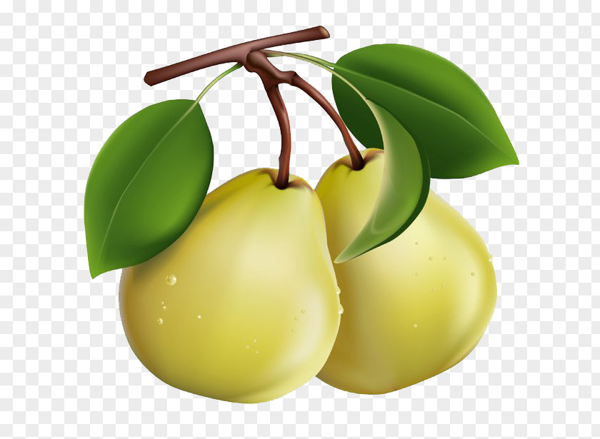 Pear Berry Fruit Clip Art PNG