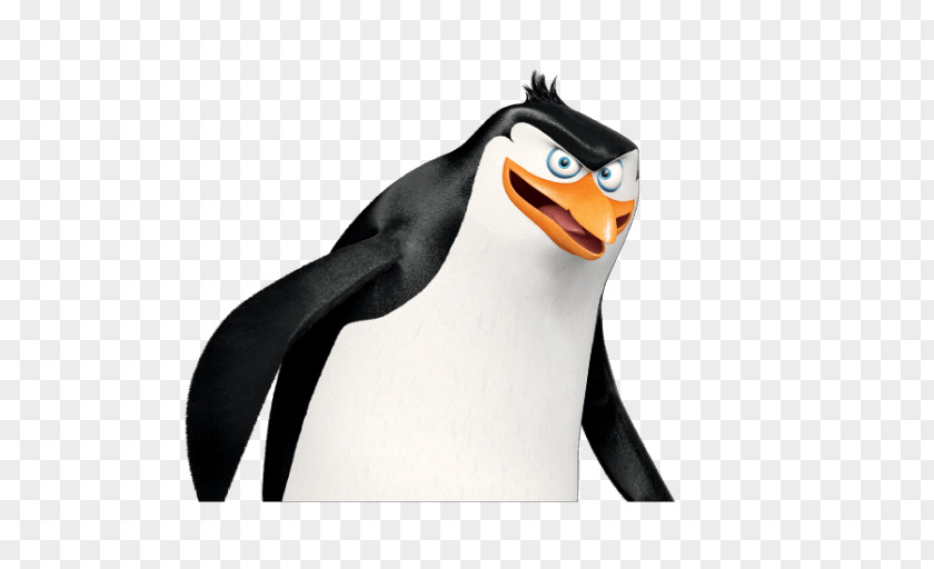 Youtube Rico Kowalski Skipper YouTube Penguin PNG
