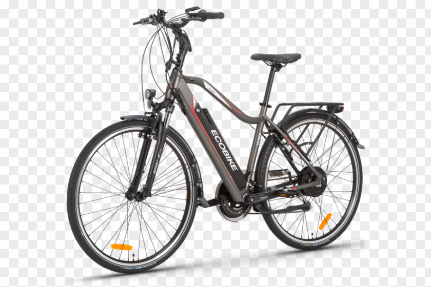 Bicycle Electric Racing Cycling Cruiser PNG
