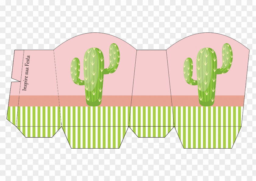 Inspire Cactaceae Party Kite Birthday PNG