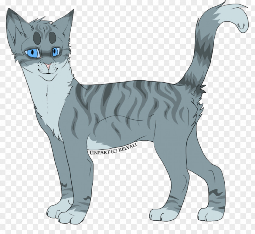 Racal American Wirehair Whiskers Domestic Short-haired Cat Tabby Paw PNG