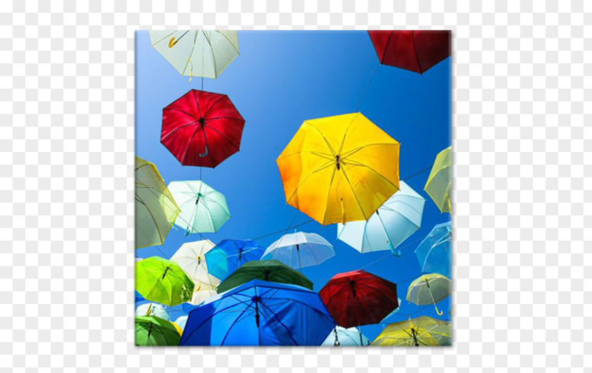 Umbrella Petal The Poppy Family Microsoft Azure PNG