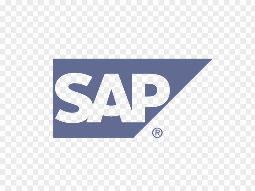 Business SAP SE ERP One Adaptive Server Enterprise PNG