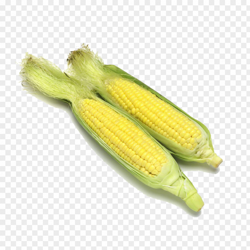 Corn Maize Vegetable Food Caryopsis PNG