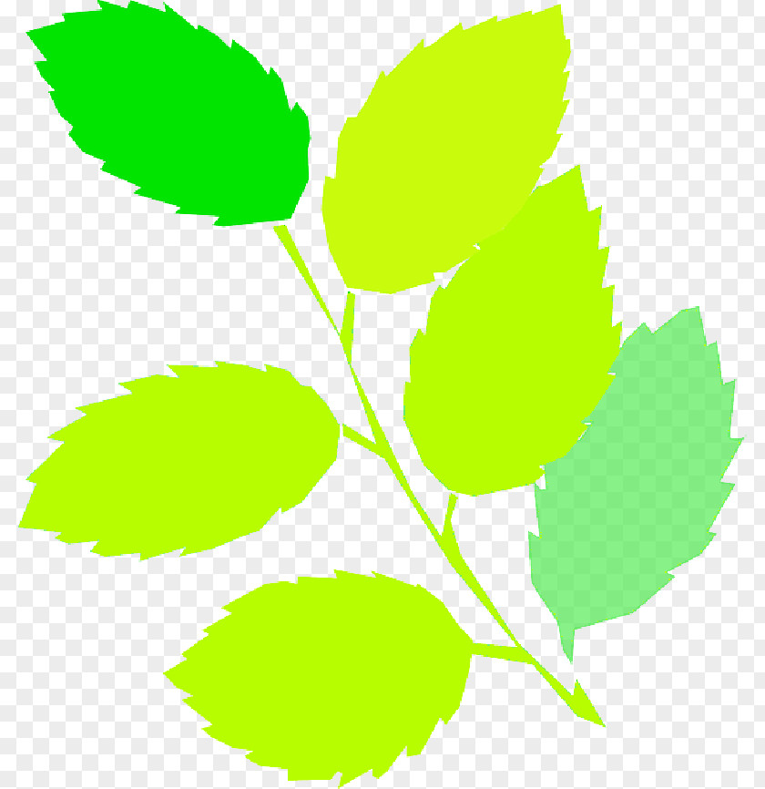 Fresh Leaf Clip Art Openclipart Free Content Spring PNG